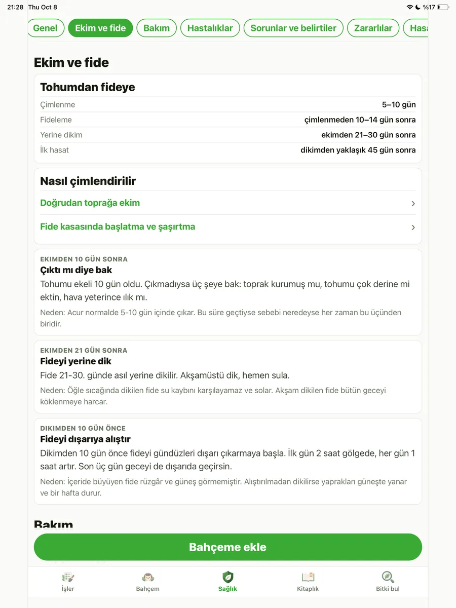 Acur ekim ve fide bilgileri